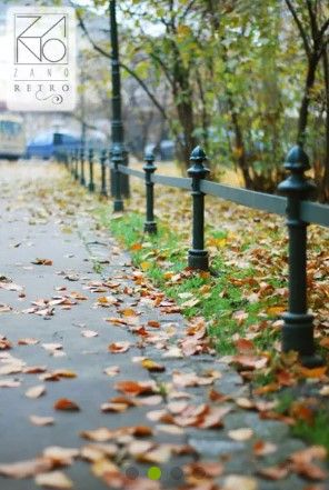 01.053.Sc - Potelets fixes Zano - Acier noir ou inoxydable - Hauteur 100 cm - Poids 10 kg_3