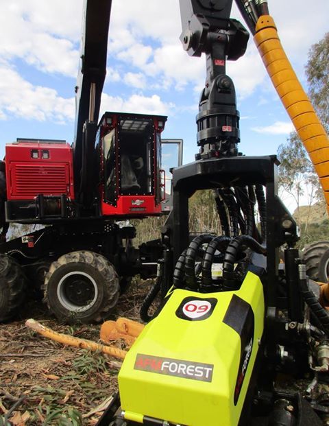 AFM 60 EUCA - Tête d'abattage pour eucalyptus - largeur max. 1330 mm - AFM Forest_3