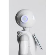 Robot humanoïde - softbank robotics - dialogue disponibles dans 15 langues_3