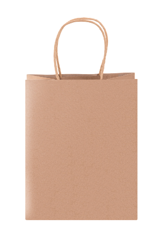 Sac cadeau Noël - Petit format en papier kraft recyclé avec motif estampillé, poignées rondes et étiquette cadeau_3