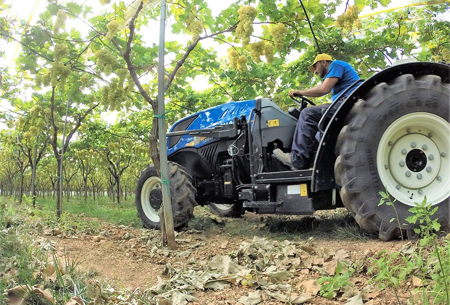 T4.90FL Tracteur agricole - New Holland - 63/86 kW/ch - spécialisé vergers et terrains irréguliers_3
