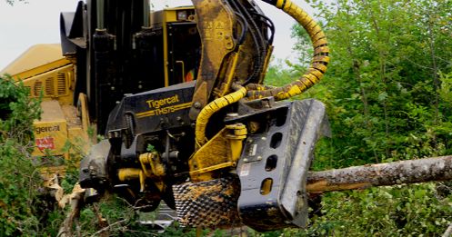Tête d'abattage 575 Tigercat - largeur maximum 1 990 mm - robuste et productive pour divers profils d'arbres_3