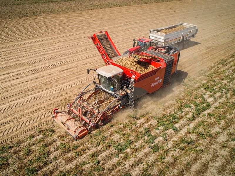 Arracheuse par tamissage Kwatro - Dewulf BV - 4 rangs, largeur totale 3500 mm, moteur Scania 500 cv_4