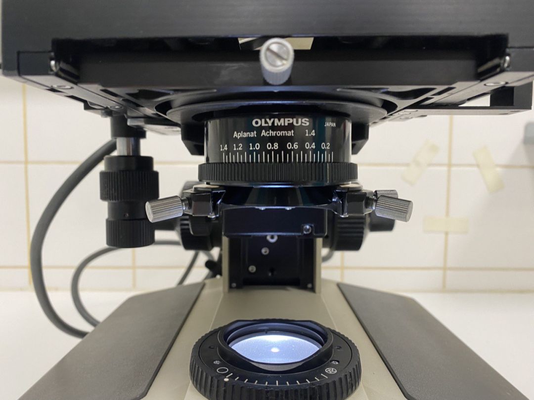 Microscope de laboratoire d'occasion bh-2 olympus - p2212-1959_3