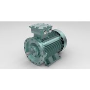 Moteur atex - o.M.E - puissance 0,75 et 315 kw_3