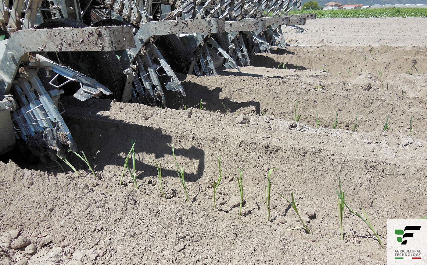 Planteuse Big - Fedelemario - Distance inter-plants réglable de 16 à 32 cm - Pour poireaux et oignons_3