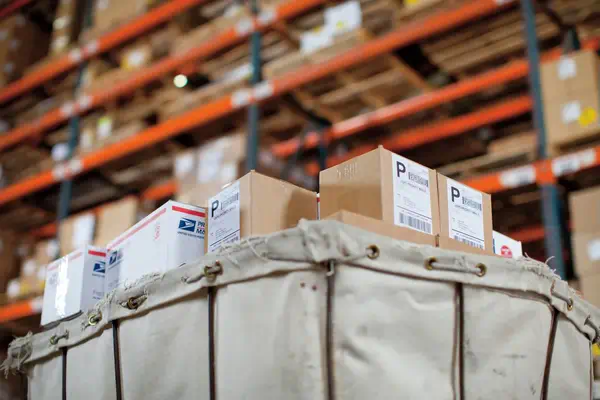 Dymo LW - àÉtiquettes d'expédition/de badge nominatif - 54 x_3