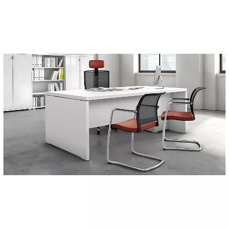 Bureau de Direction So Laroya_3