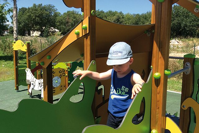 Jeu combiné de plein air pour école, camping, espace vert municipaux,... - Tranche d'âges : 6 mois à 6 ans - Safari 2000_3