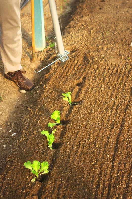 Multi planteur Apollo - 35mm_3