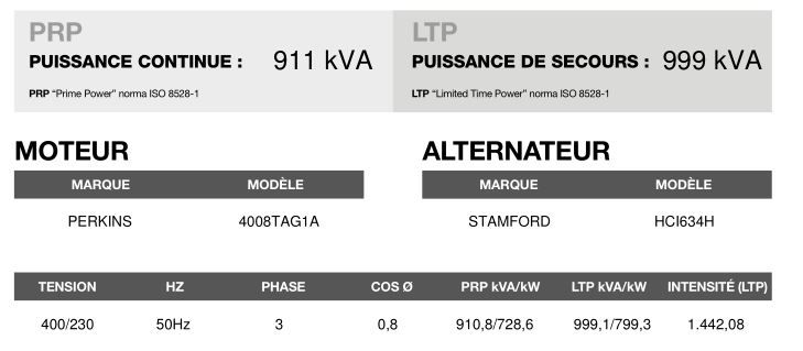 AP-1005 50 Hz - Groupe électrogène en container triphasé 999,1 kVA - Moteur Perkins et alternateur Stamford_3