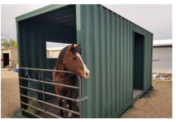 Box à chevaux container - espace supplémentaire pour chevaux de grande taille_3