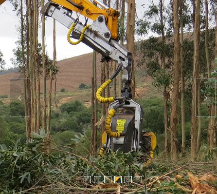 Tetes d'abatteuses kesla 30rh-ii 3wd_3