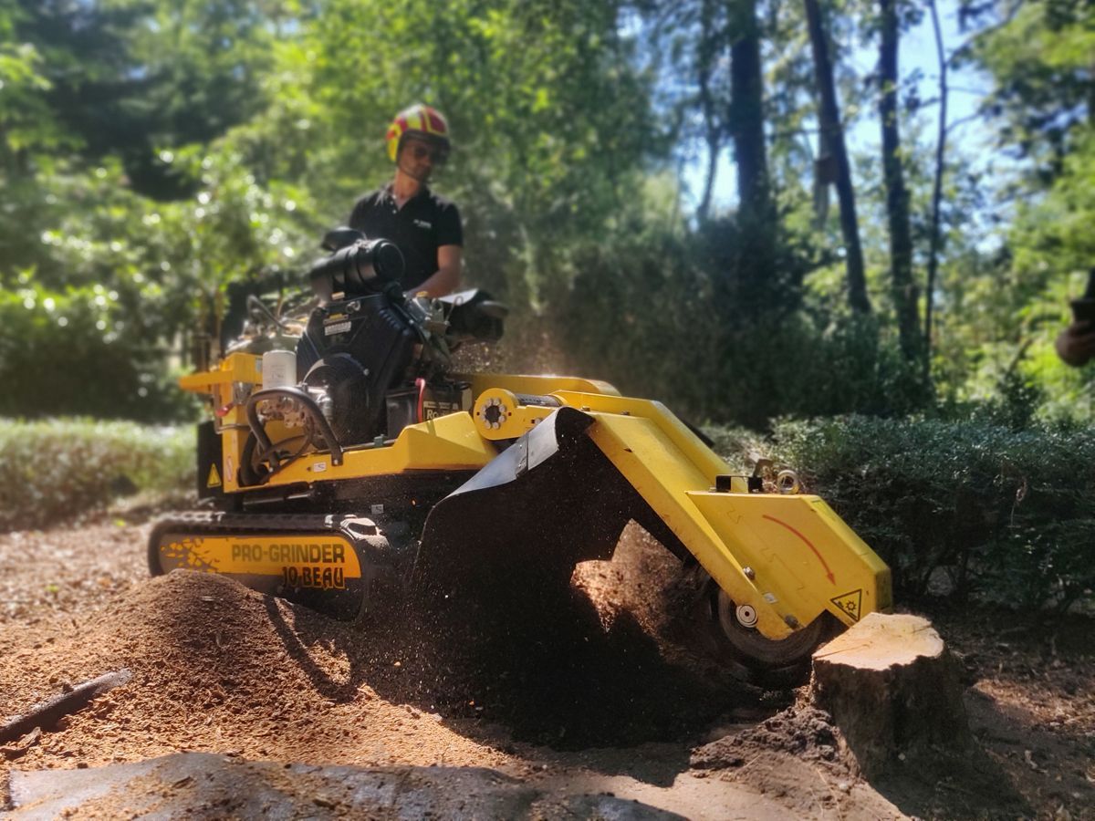 B31-110 - rogneuse de souches - jobeau - puissance 31 cv_3