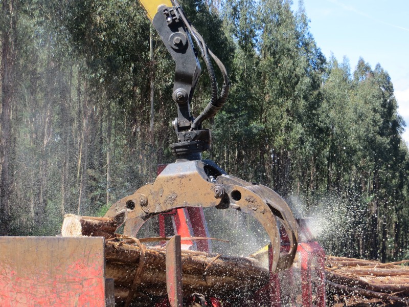 Grappin forestier de regroupement Rotobec - Série robuste avec rotation 360° et cylindres hydrauliques haute pression_3