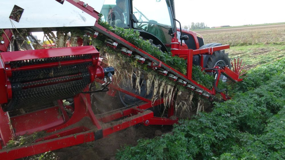 Récolteuse de légumes ALINA SUPERNOVA - Weremczuk - productivité 0,08-0,12 ha/h - puissance tracteur requise 80 CH - récolte précise à 98%_3