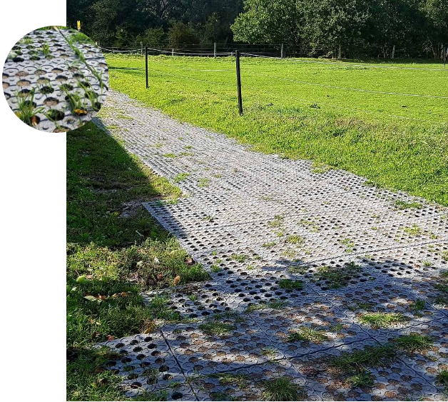 Revêtement mural protecteur pour chevaux - Rouleau caoutchouc - LCI Cheval - 6000mm x 1250mm x 10mm_3