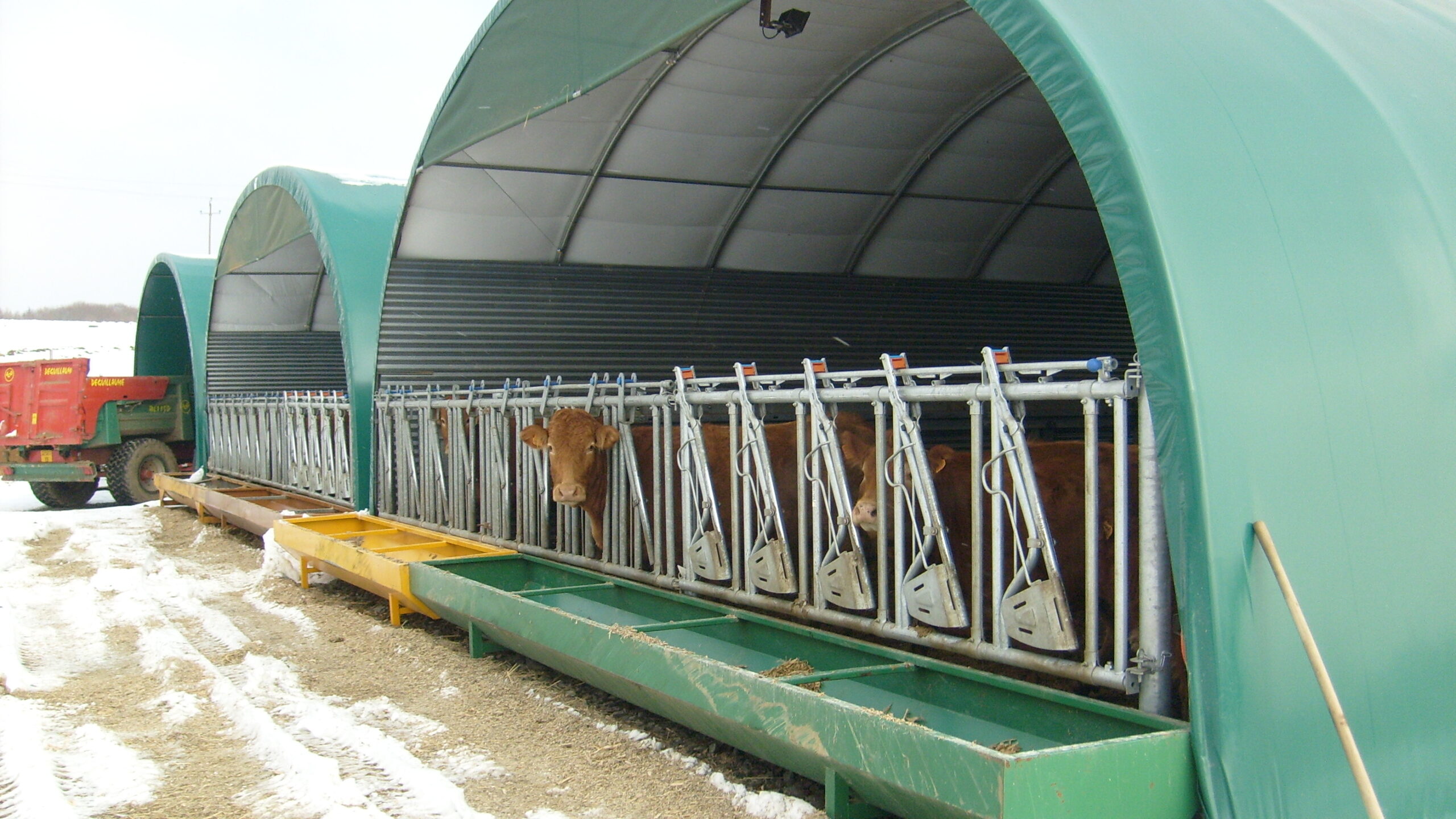 Bâtiment pour bovin à viande économique, simple et évolutif - Tunnel d'élevage TOUTABRI_3