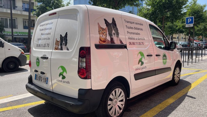 Impression numérique sur véhicule, personnalisable avec des motifs, logos et textes spécifiques_3