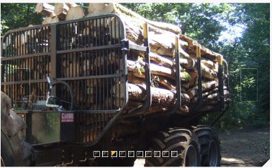 12md | mdh remorque forestière - kesla oyj - 3220 / 3700 kg_3