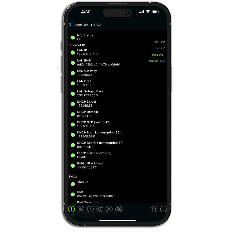 NetPeppers netool.Io Lite Testeur de réseau intelligent_3