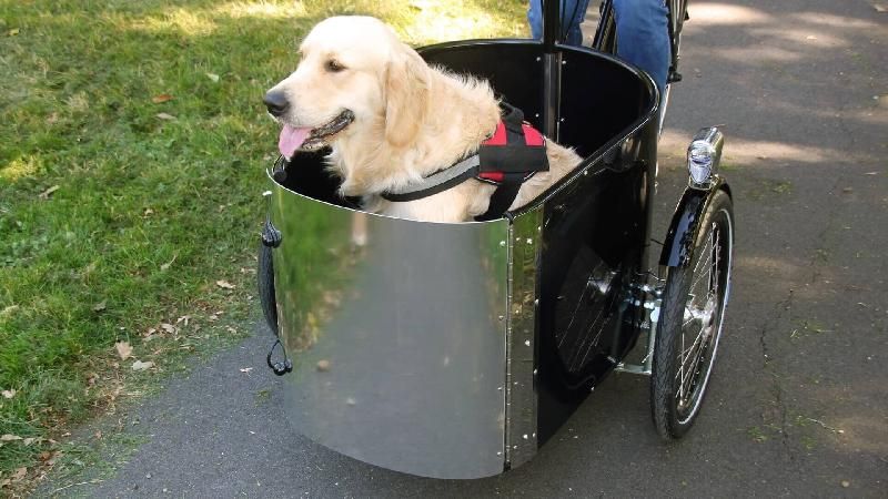 Triporteur Nihola Cargo Open (musculaire) avec porte en aluminium et seuil de chargement bas_3