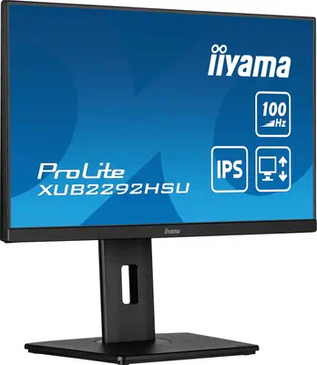 Iiyama ProLite XUB2292HSU-B6_3