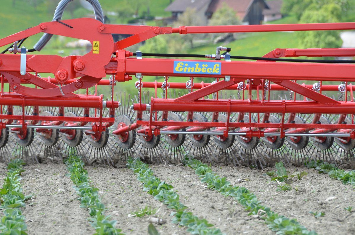 Aerostar - Fraises et herses rotatives Einboeck - Dent en acier 6.5 mm - Large gamme d'applications et désherbage efficace_3