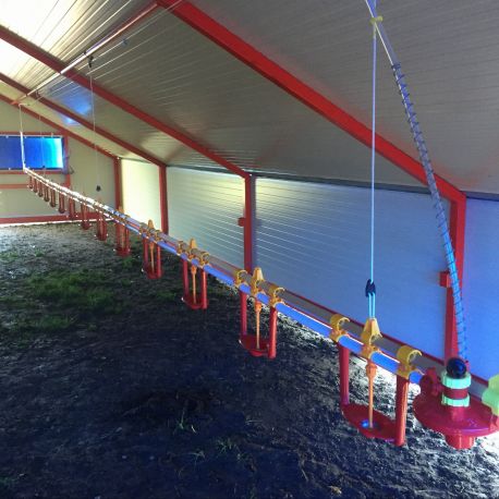 Batiment fixe de 6 à 150m² volaille bio & label rouge_3