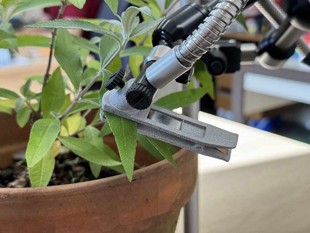 Hansatech FMS 300 - Fluorimètre de chlorophylle pour recherche et développement - Cinétiques rapides et lentes_3