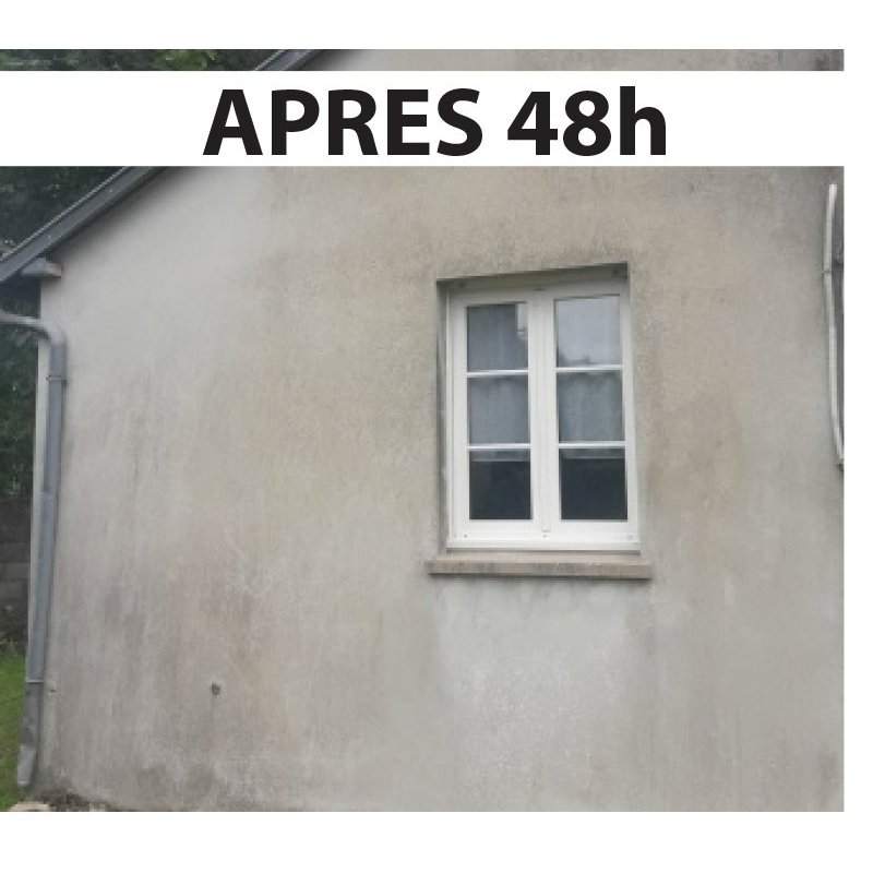 Nettoyant  façade a9 dpe  - p771_3