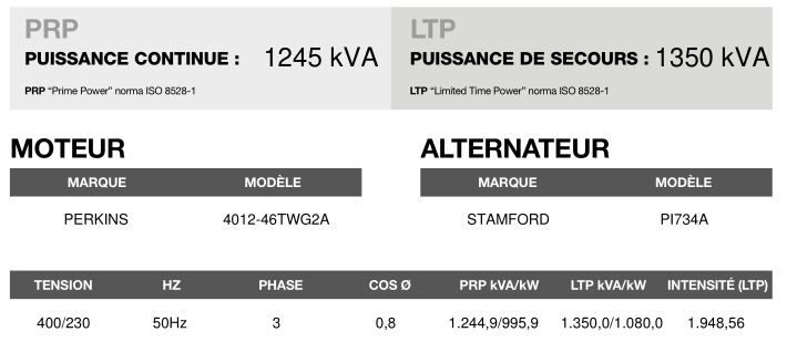 AP-1400 50 Hz - Triphasé - Groupe électrogène en container - 1350,0 kVA - Moteur Perkins - Alternateur Stamford_3