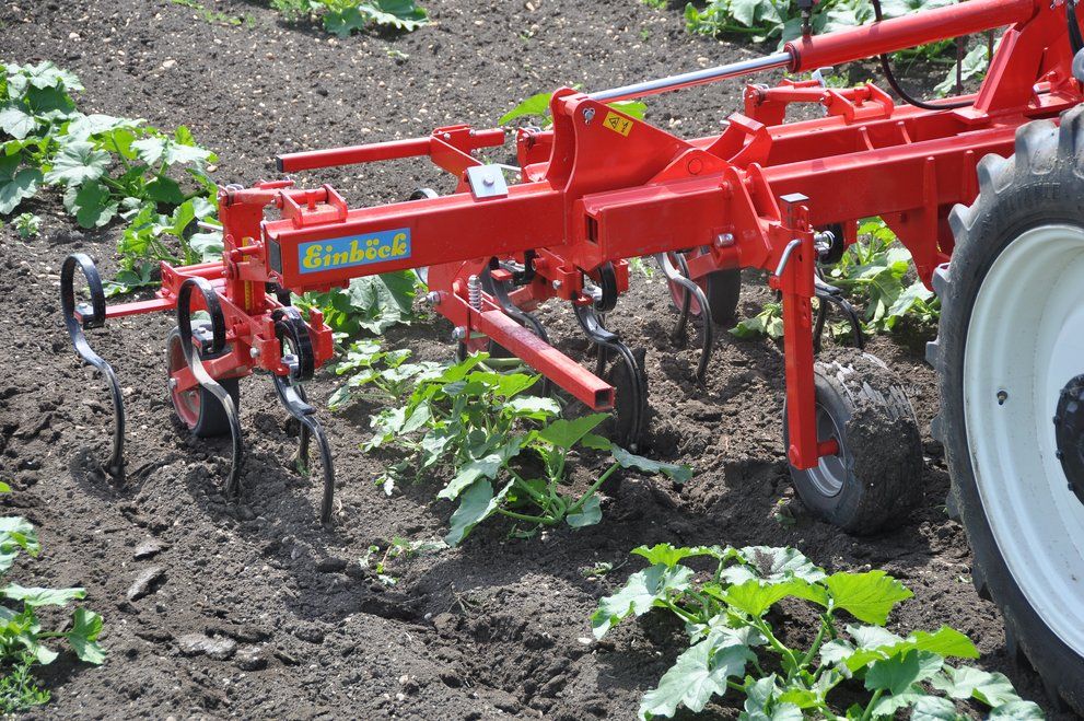 Bineuse agricole CHOPSTAR 10-150 - Einboeck - Inter-rangs jusqu'à 150 cm avec dent vibro_3