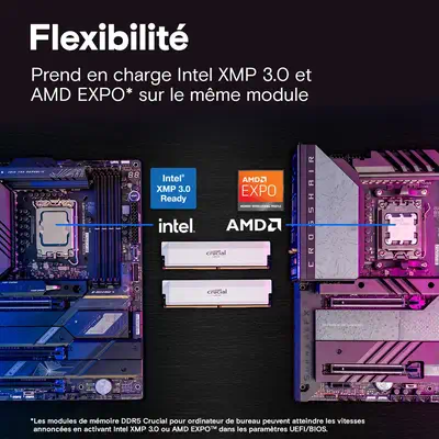 Crucial Pro CP2K32G60C40U5W module de mémoire 64 Go 2 x 32 Go DDR5_3