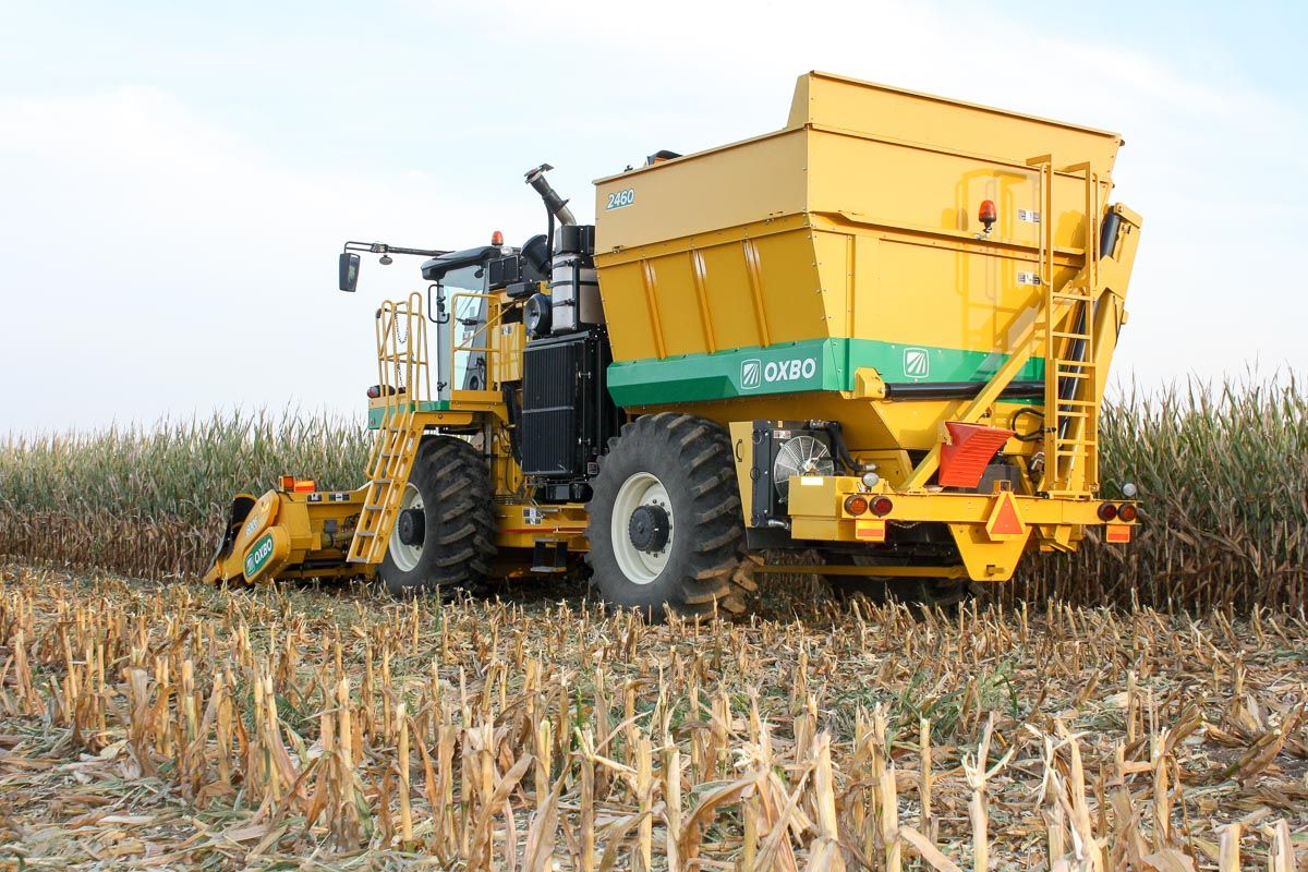 Arracheuse oxbo 2460 - oxbocorp - longueur sans tête 8.53 m - largeur 3.43 m_4
