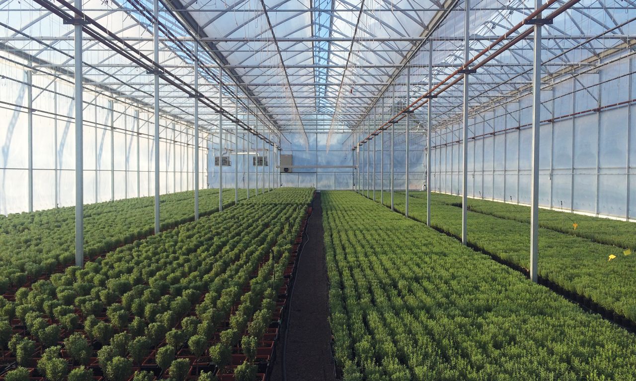 Serre chapelle - Paul Boers - Herculon avec gouttière - Largeurs de 18 à 27 pieds_3