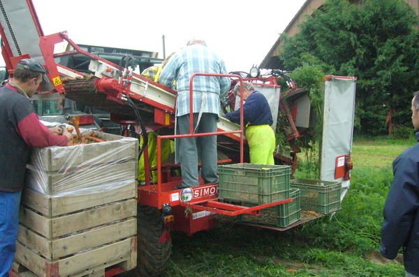 Récolteuse de carotte p3r - simon_3