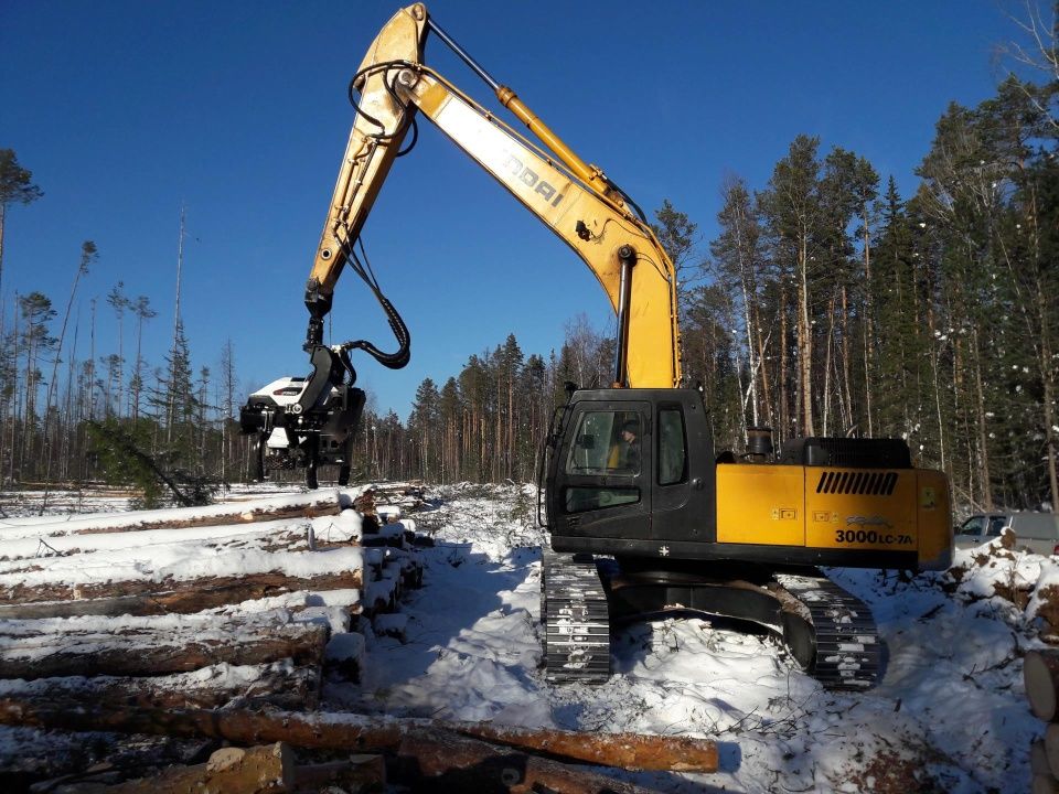 Afm 75 - tête d'abattage - afm forest - largeur, max.1650 mm_3