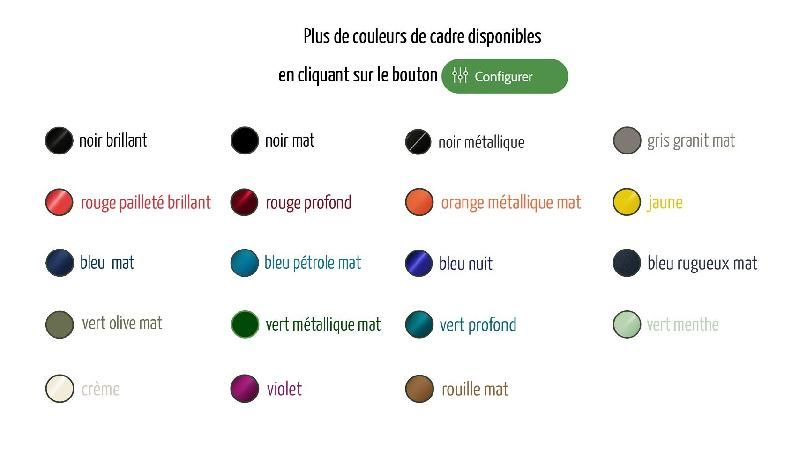 Vélo électrique Docker Premium - moteur roue avant - robuste et personnalisable_3