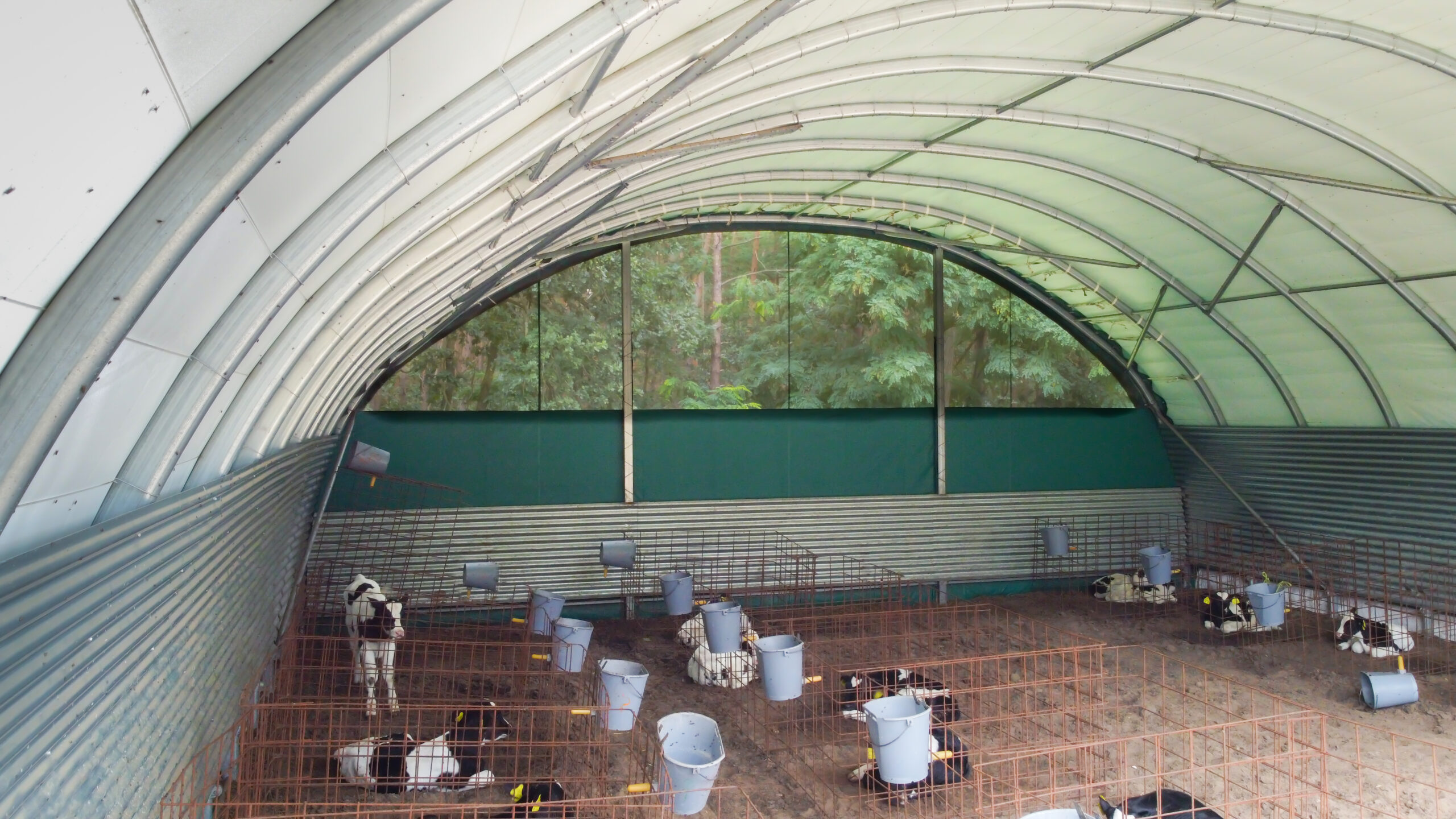 Bâtiment d'élevage pour bovin à lait - Ventilation naturelle optimale, isolation et confort acoustique - Tunnel TOUTABRI_3