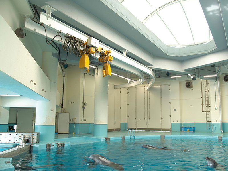 Palan électrique à chaîne ER2M KITO avec chariot motorisé MR2 - capacité 125 kg à 20 t_3