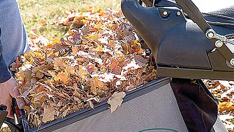 Aspirateur professionnel      Billy Goat    MV601SPDSEU - 74 cm_3