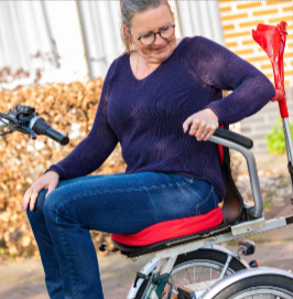 Tricycles individuels - Vélo-scooter Easy Go Van Raam - Polyvalent, Compact et Maniable_3