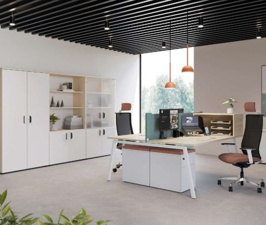 Armoire de rangement en bois - bureau - portes battantes - différentes tailles et finitions_3