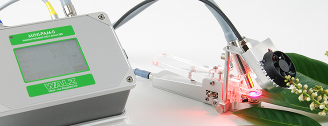 Mini PAM II - Fluorimètre de chlorophylle compact, puissant et robuste - Portable avec LED modernes et analyse avancée_3