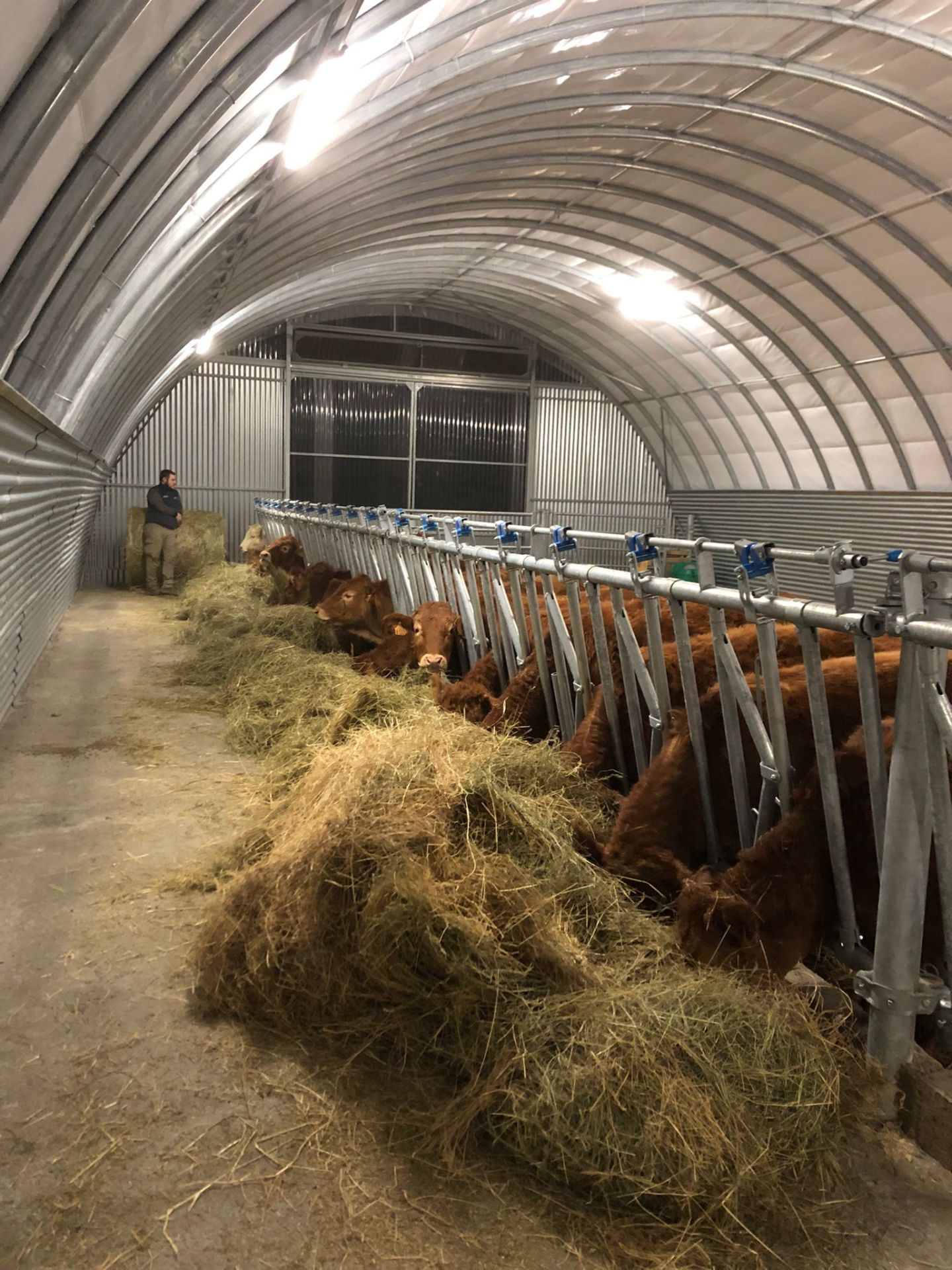 Tunnel d'élevage Abristhor sur solution béton (dalle, longrines, blocs, murs) pour un maximum de bien-être aux animaux et aux éleveurs_0