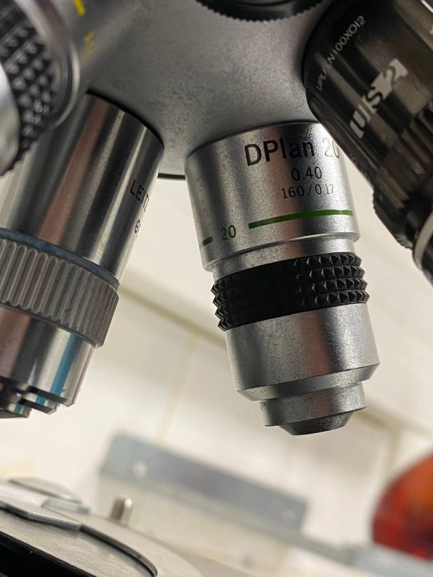 Microscope de laboratoire d'occasion BH-2 Olympus - Référence P2212-1958, avec 4 lentilles incluses_3