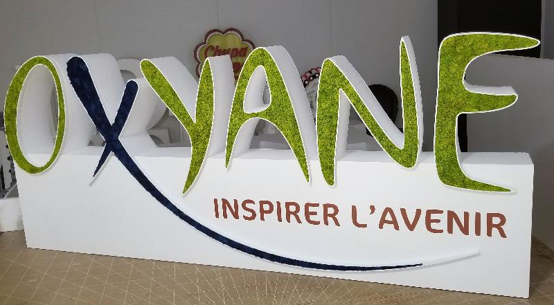 Lettres et logo végétales 3D en polystyrène - Logo, Lichen scandinave pour l'intérieur uniquement, Marron_3