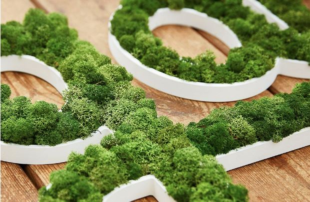 Lettres végétales durables et uniques - Signalétique personnalisée PANO Nice Ouest_3