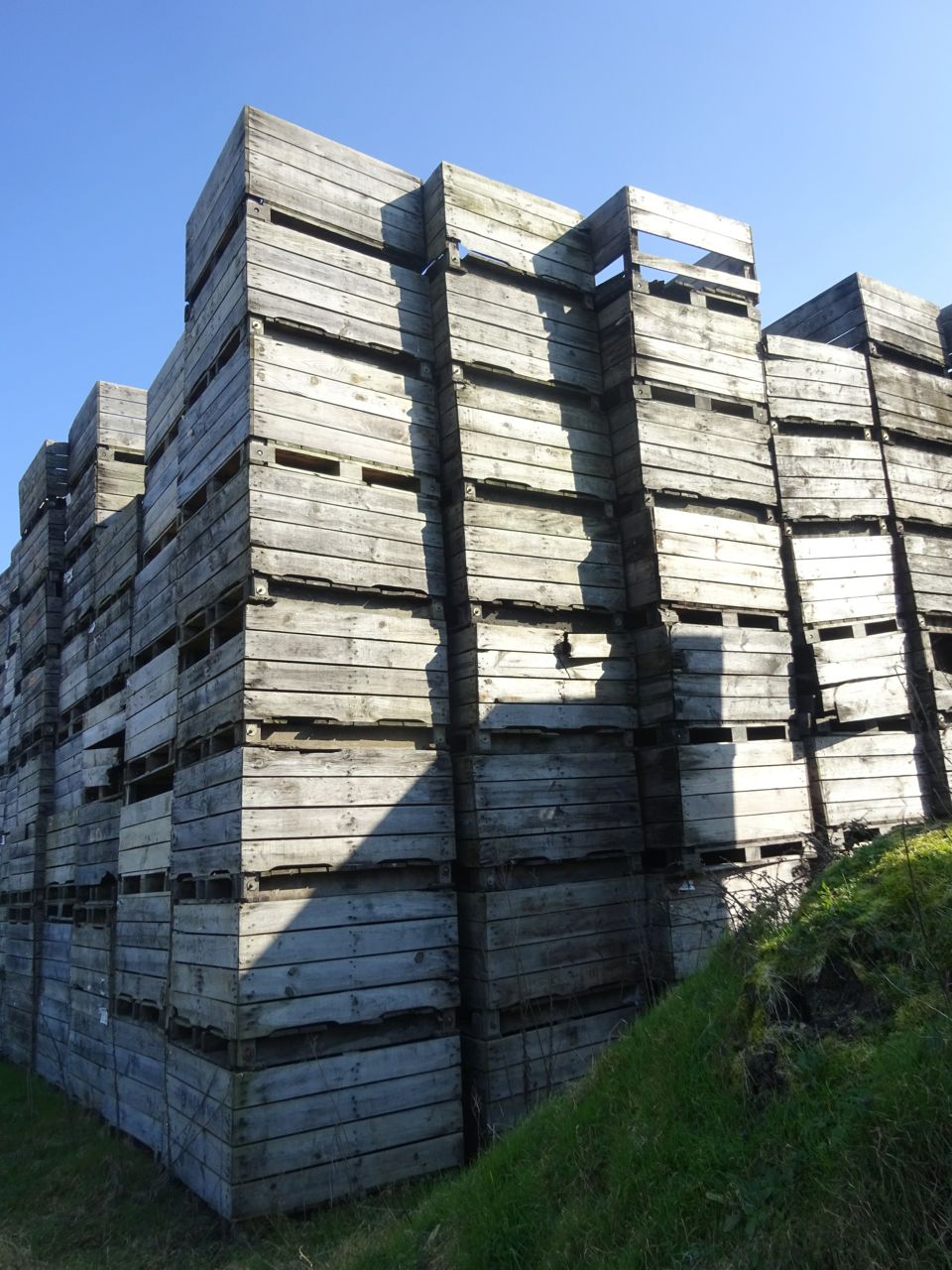 Palox robuste en bois pour usages divers, maraîchage et paintball